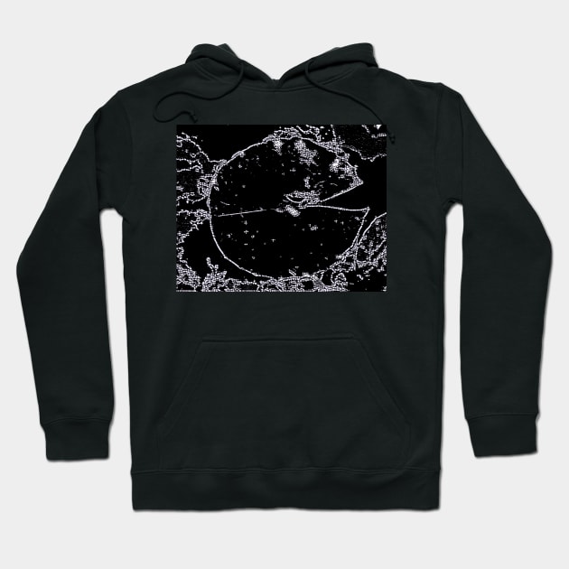 Pond Vision Hoodie by Tovers